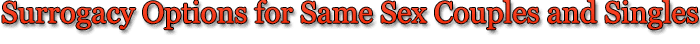 Surrogacy Options Gay Couples and Singles Surrogacy Options Gay Couples and Singles